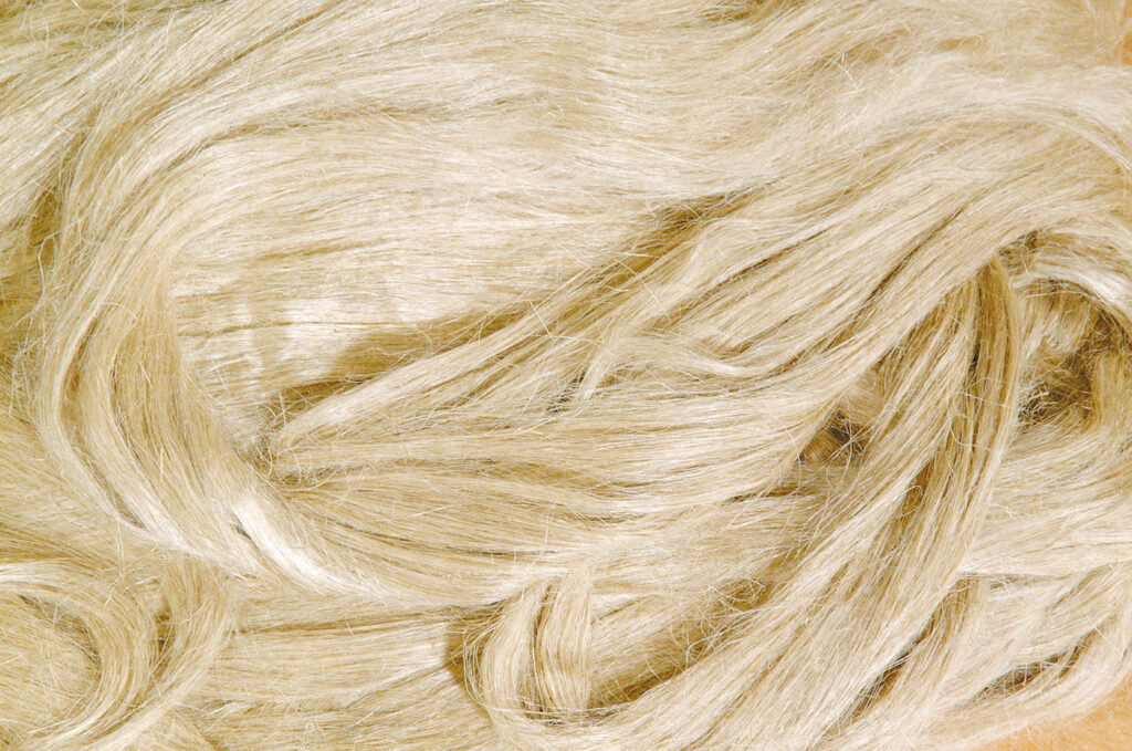 Ruban de coton peigné Pima marron pour la filature, le mélange, la teinture  de fibres de coton non teintées. -  France
